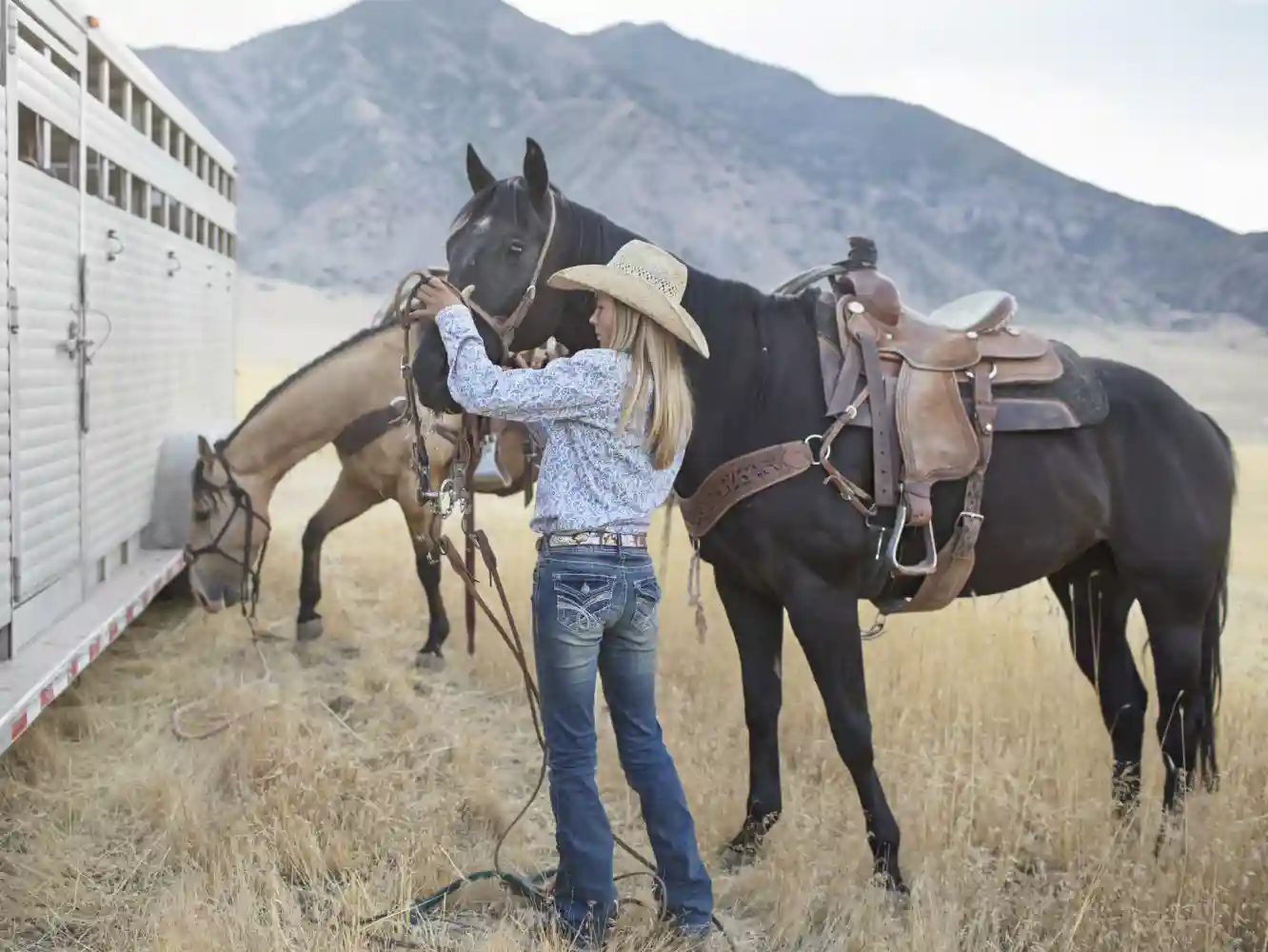 Pony Rides and Events Insurance