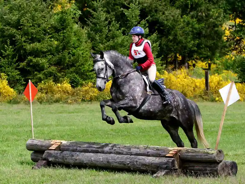 women riding a horse jumping logs