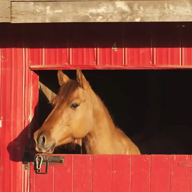 Hobby Farm Insurance