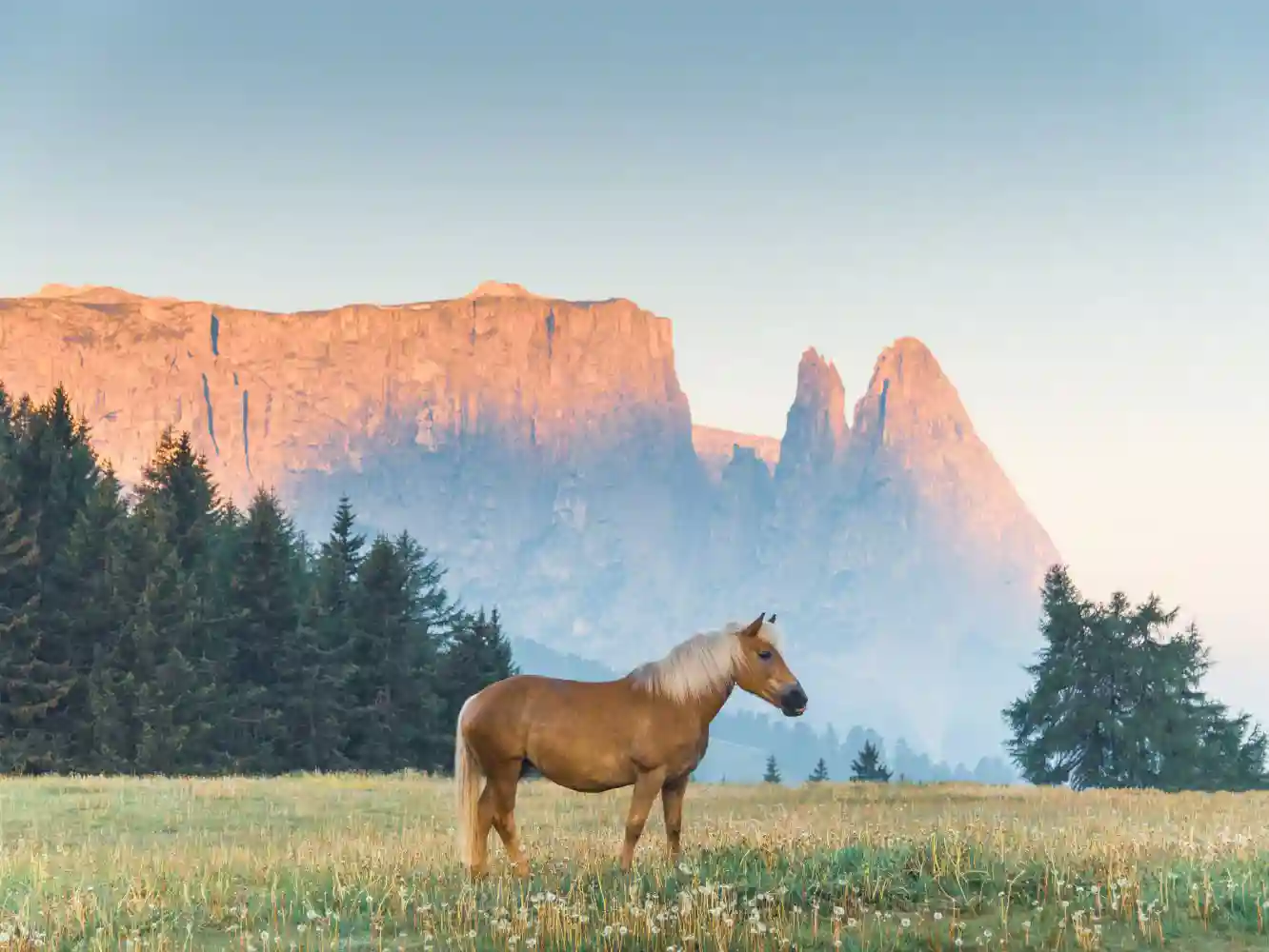 Equine Professional Liability Insurance