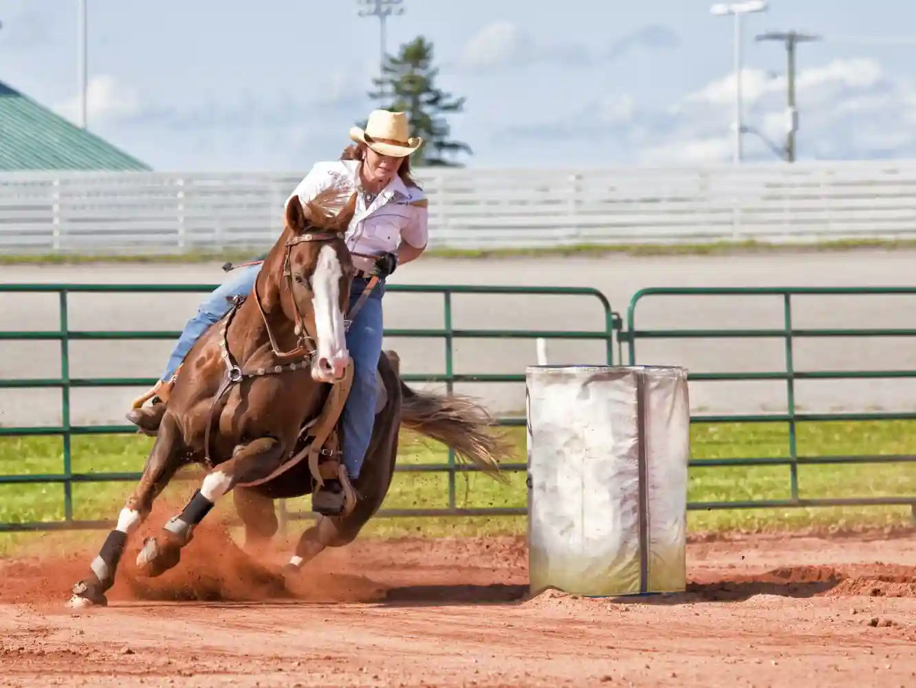 Horse Show and Event Liability Insurance