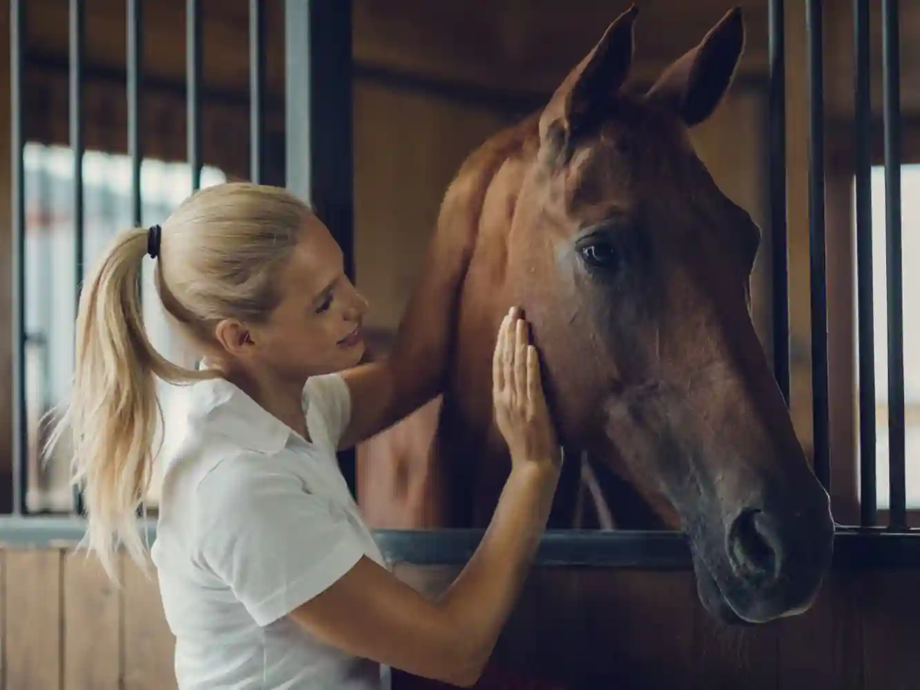 Horse Massage and Therapy Insurance