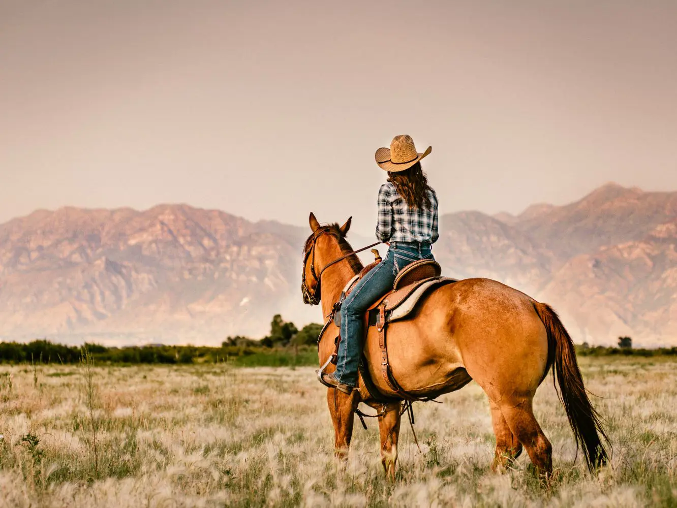 Person riding horse.