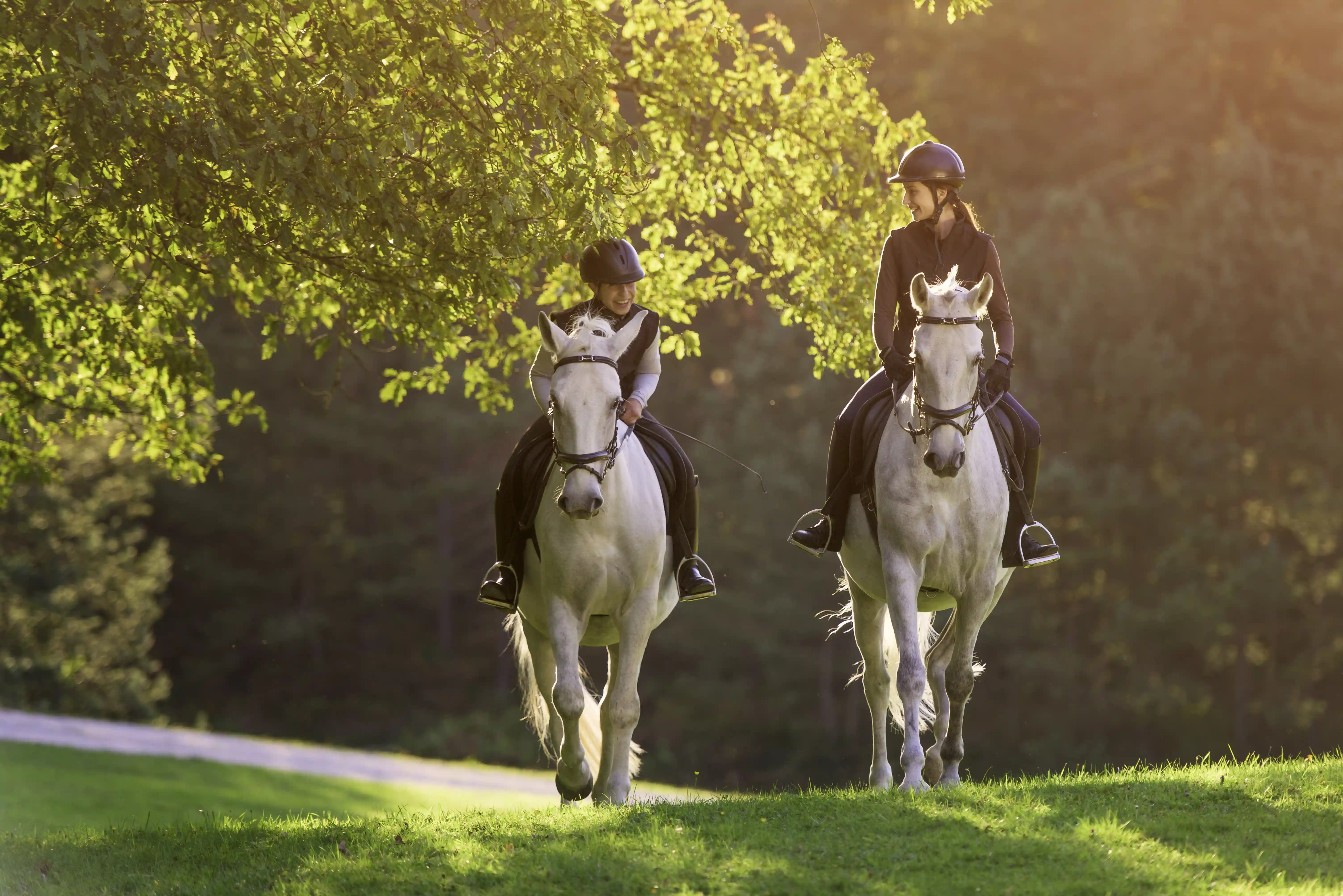 Two young riders on horseback on a trail