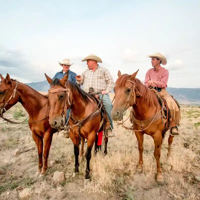 Horse Club