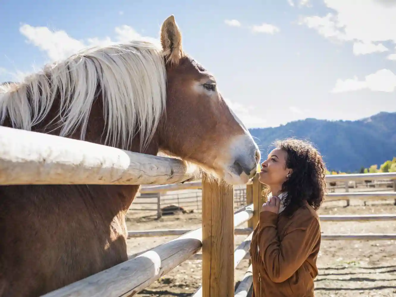 Equine Assisted Services Insurance