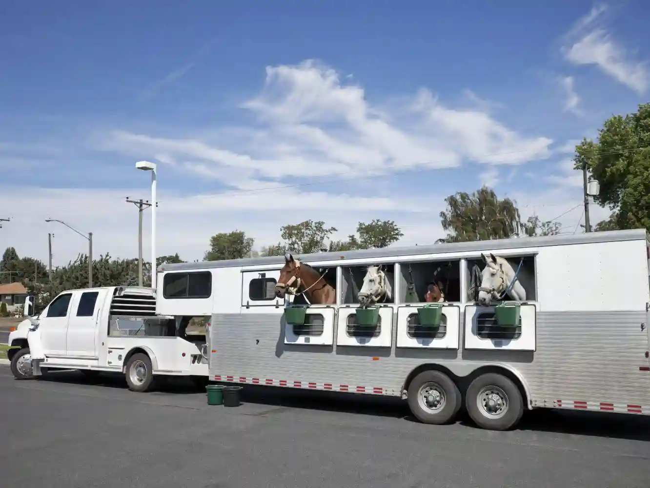 Horse Transit Insurance