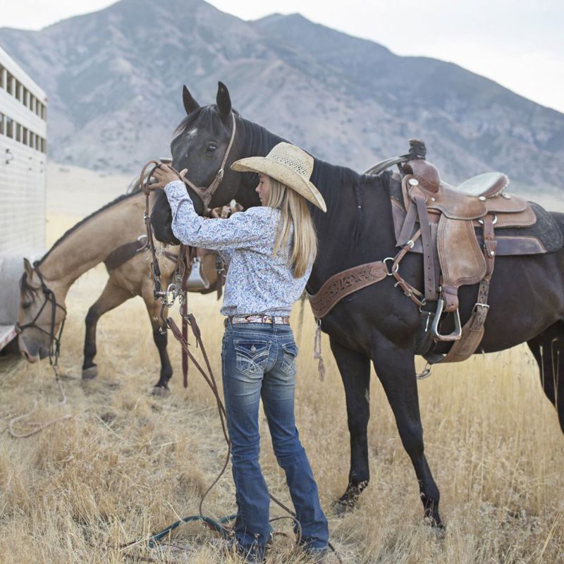 Horse Insurance Henry Equestrian Insurance Brokers