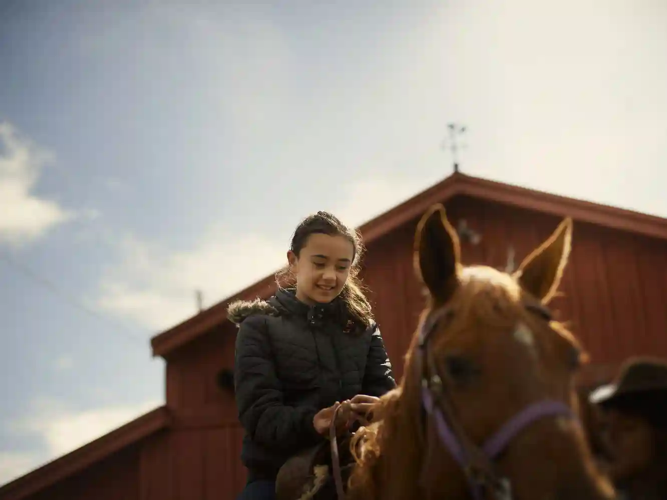 Horse Camp Insurance