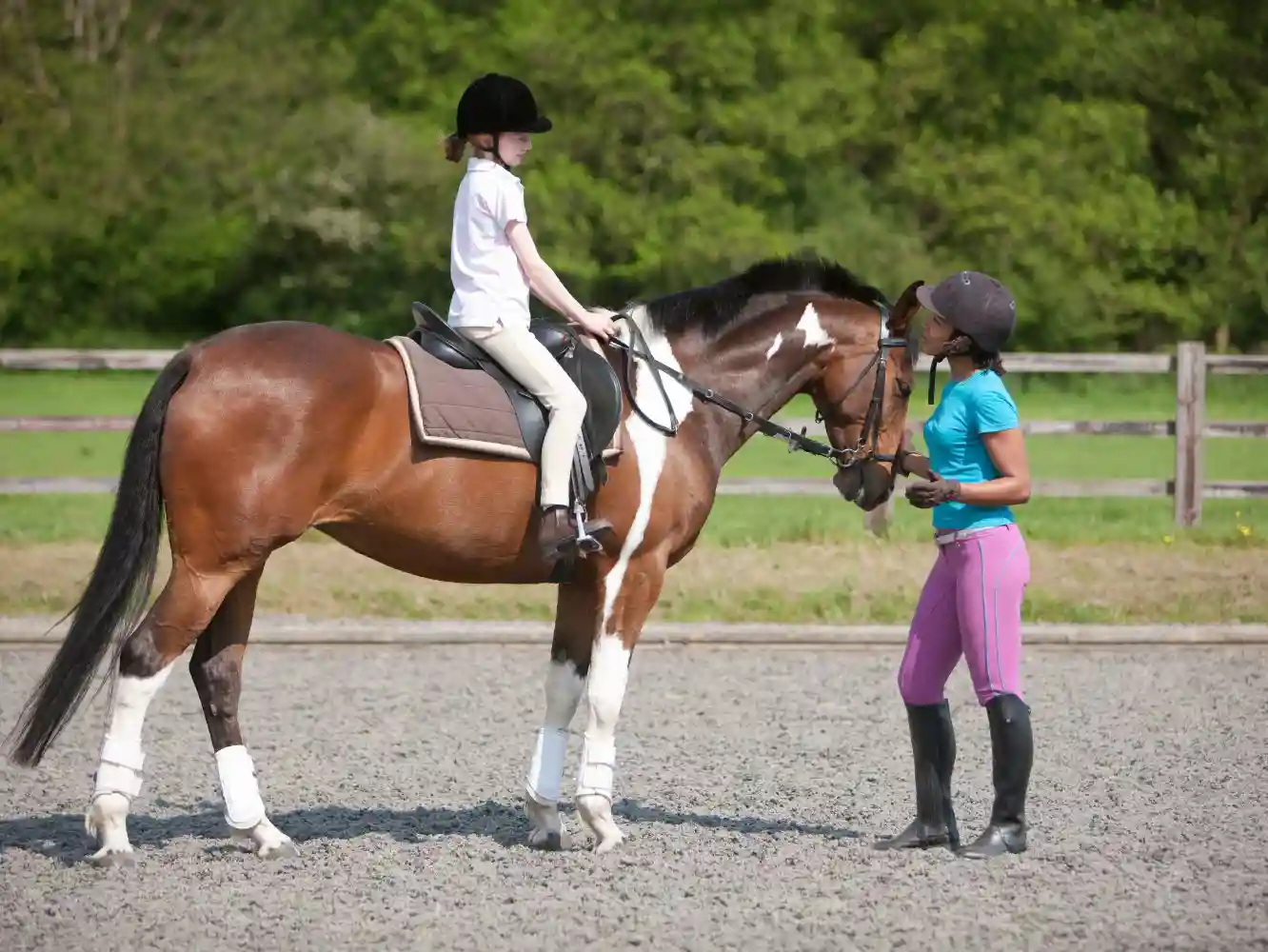 Horse Club and Association Insurance