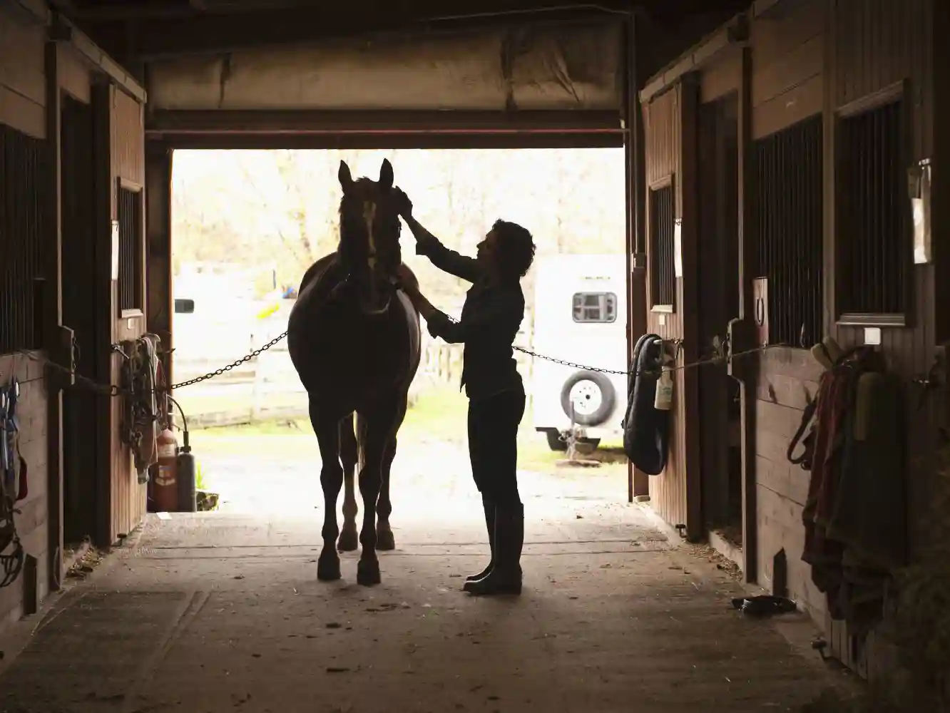 What To Know About Leasing a Horse