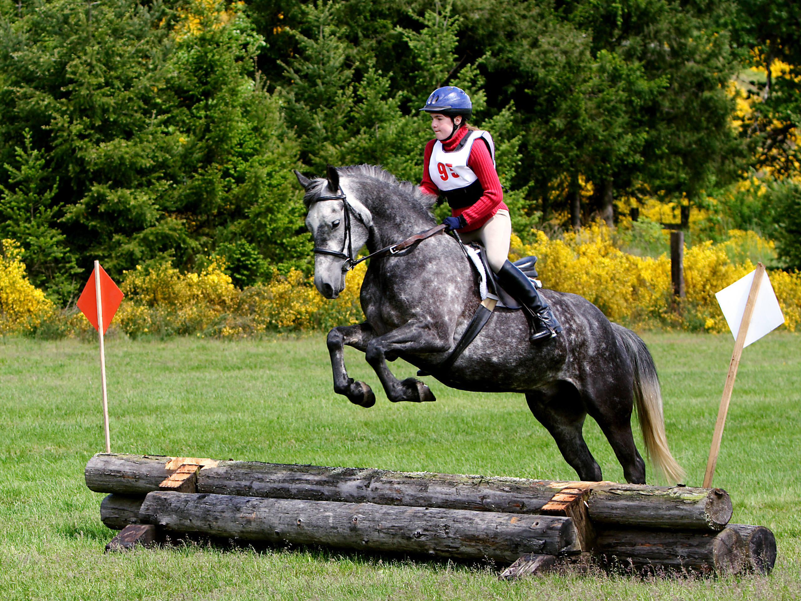 women riding a horse jumping logs