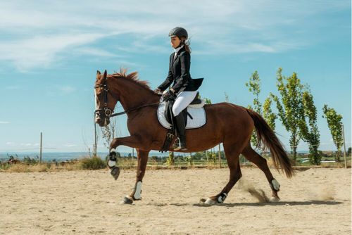 Uniformed rider during a horse show
