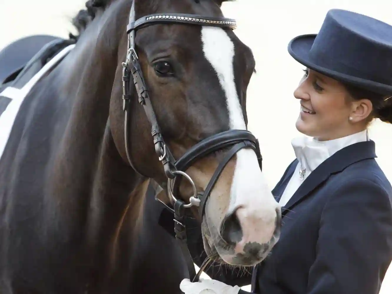 Why You Need Insurance at Horse Shows Henry Equestrian