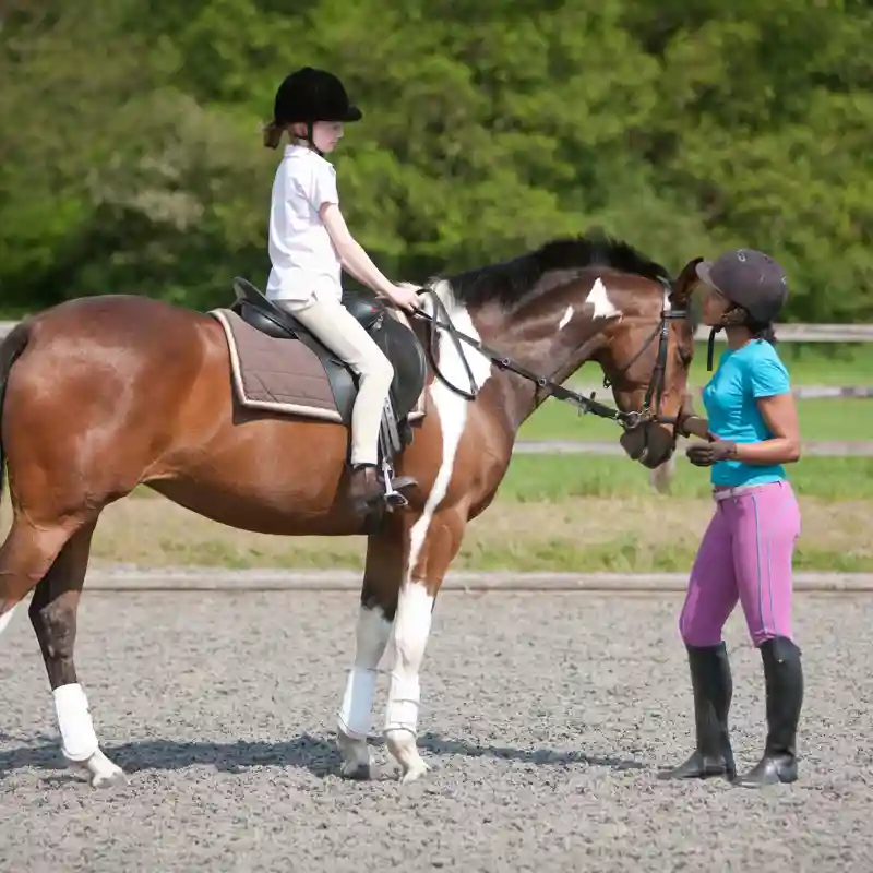 Riding Instructor