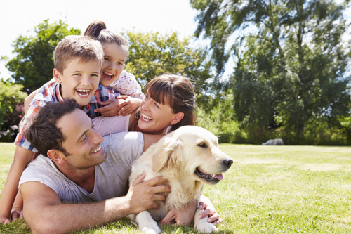 family playing with their dog in the yard